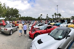 BT Show 2019 COTG wide