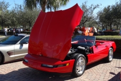 COTG Cars at Pelican 2