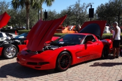 COTG Cars at Pelican 3