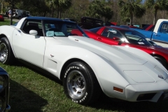 COTG Cars at Pelican 6