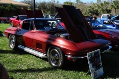 COTG Cars at Pelican 7