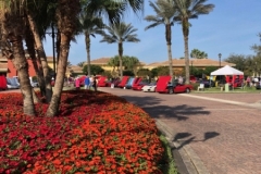 Pelican Preserve Show 2-16-2019