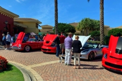 Pelican Preserve Show 2-2020