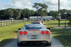 Royal Lipizzan Caravan 4-13-2019