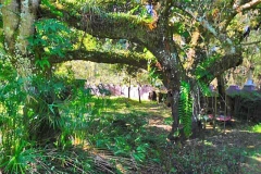 Solomons-Cast3-11-2019