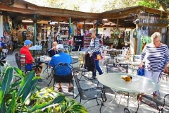 Solomons-Cast7-11-2019