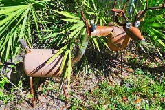 Solomons-Cast9-11-2019